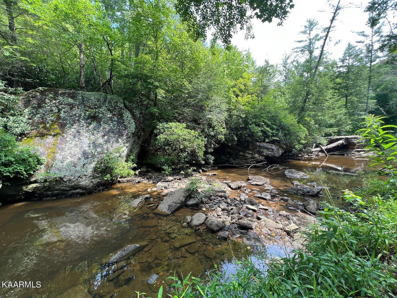 618 Coon Hollow Road Sunbright, TN 37872 - Photo 60 of 60 Creek in Summer