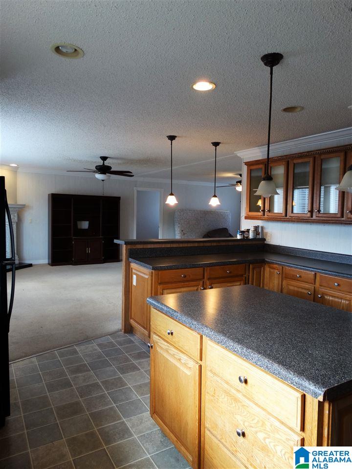 8214 Highway 144 Ragland, AL 35131 - Photo 5 of 36