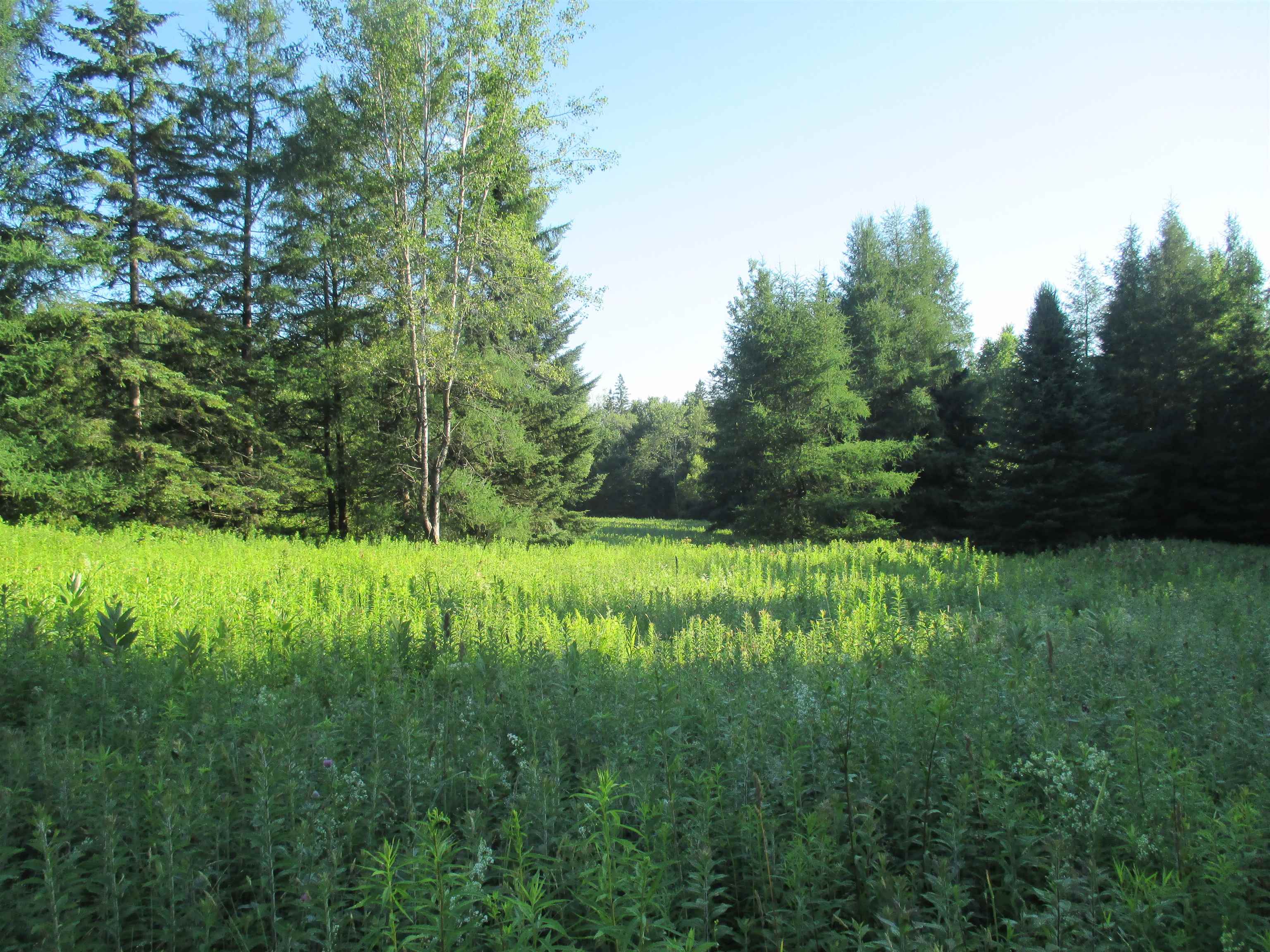 230 Bushey Hill Road Newport, VT 05855 - Photo 13 of 13