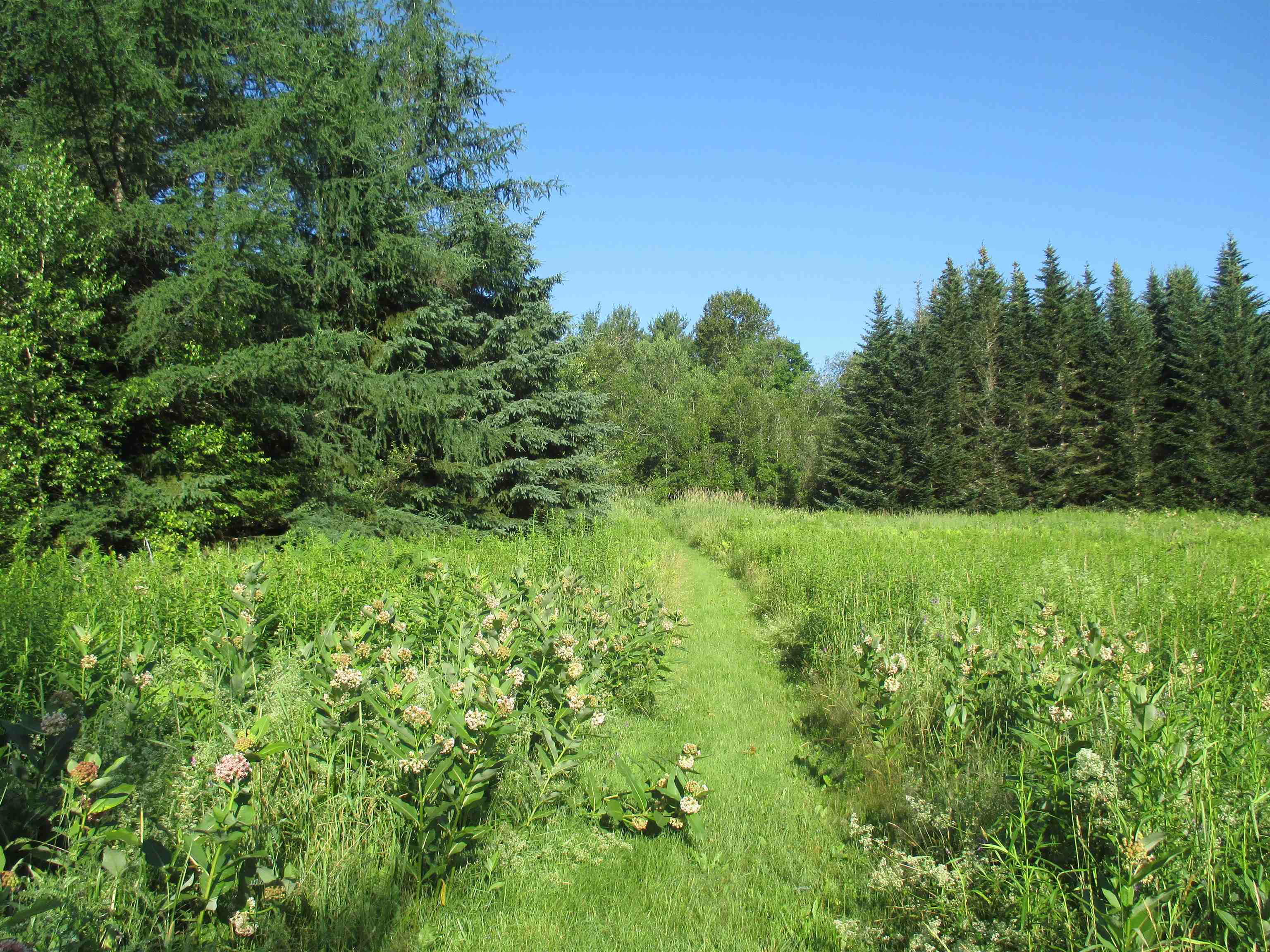 230 Bushey Hill Road Newport, VT 05855 - Photo 2 of 13
