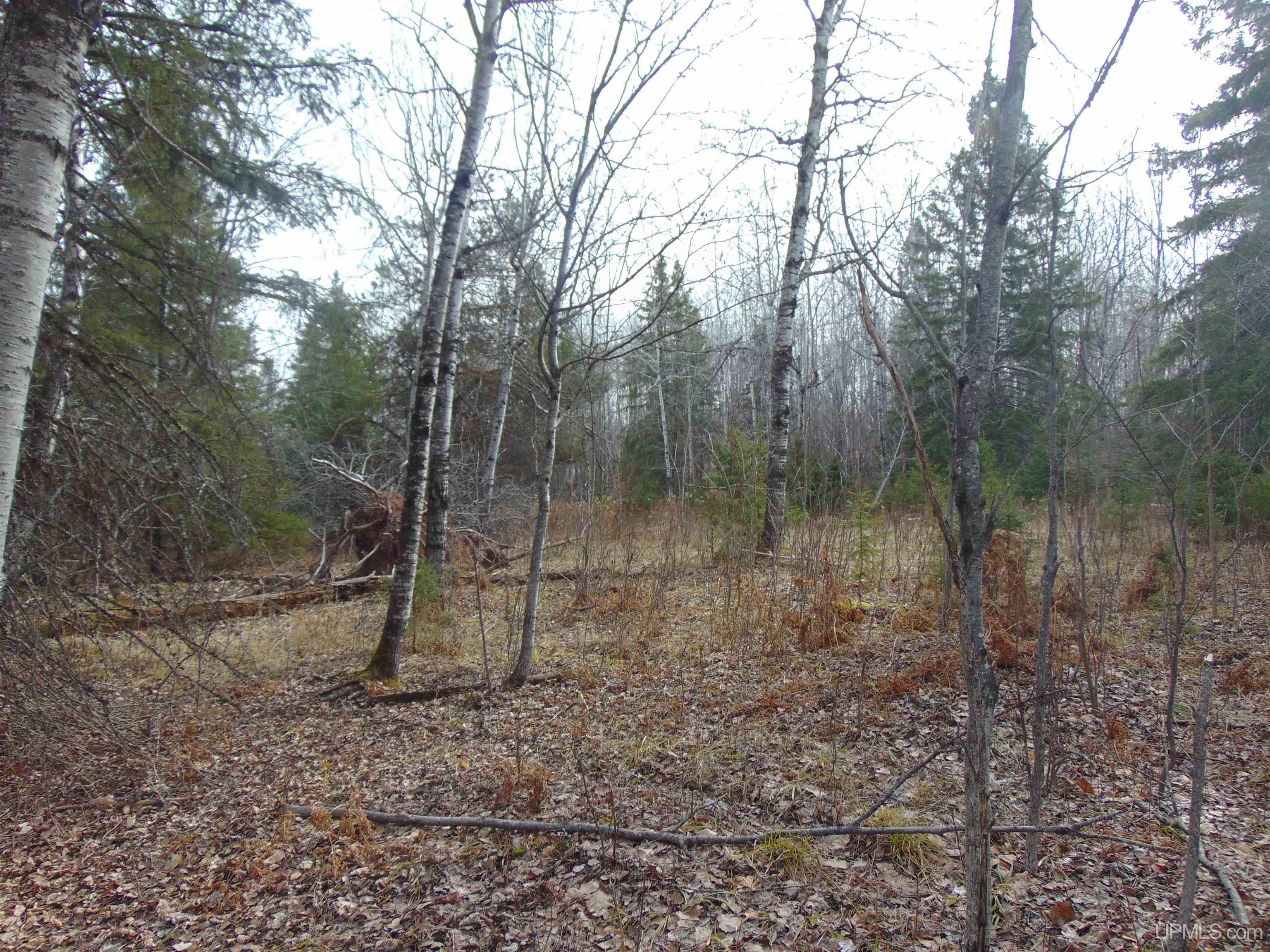 20 Grenlund Road Bruce Crossing, MI 49912 - Photo 7 of 18