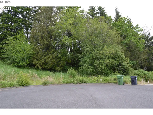 a view of a road with a yard