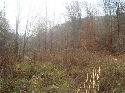 0 Mahaffey Holw Road Livingston, KY 40445 - Photo 1 of 8 Photo 1