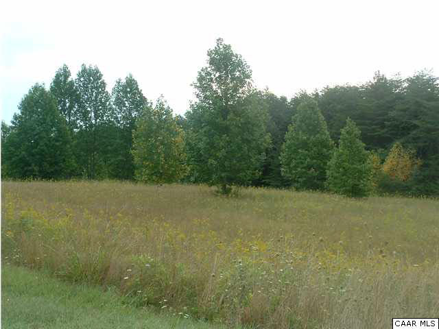 4 Fox Ridge Lane Palmyra, VA 22963 - Photo 1 of 3 a view of a field with trees in the background