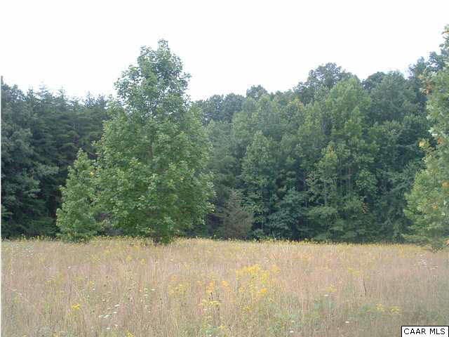 4 Fox Ridge Lane Palmyra, VA 22963 - Photo 2 of 3 a view of a yard