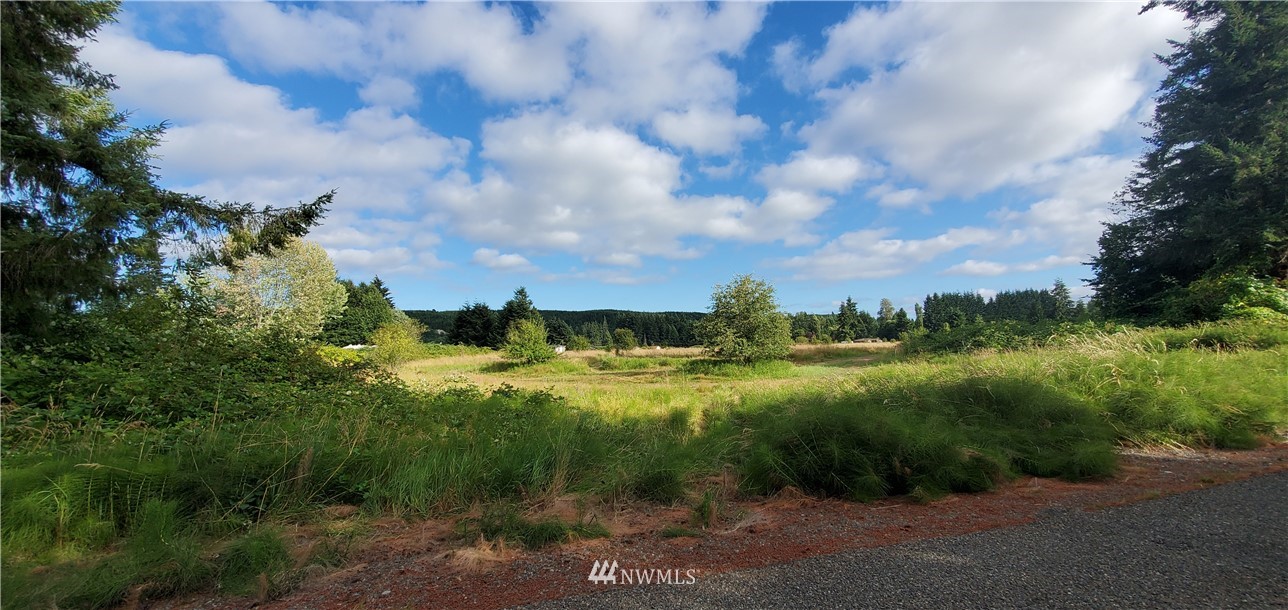 85-lot # Satsop Riviera Loop Elma, WA 98541 - Photo 1 of 5 Gallery Image 1