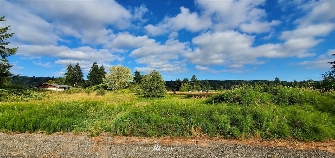 85-lot # Satsop Riviera Loop Elma, WA 98541 - Photo 3 of 5 Gallery Image 3