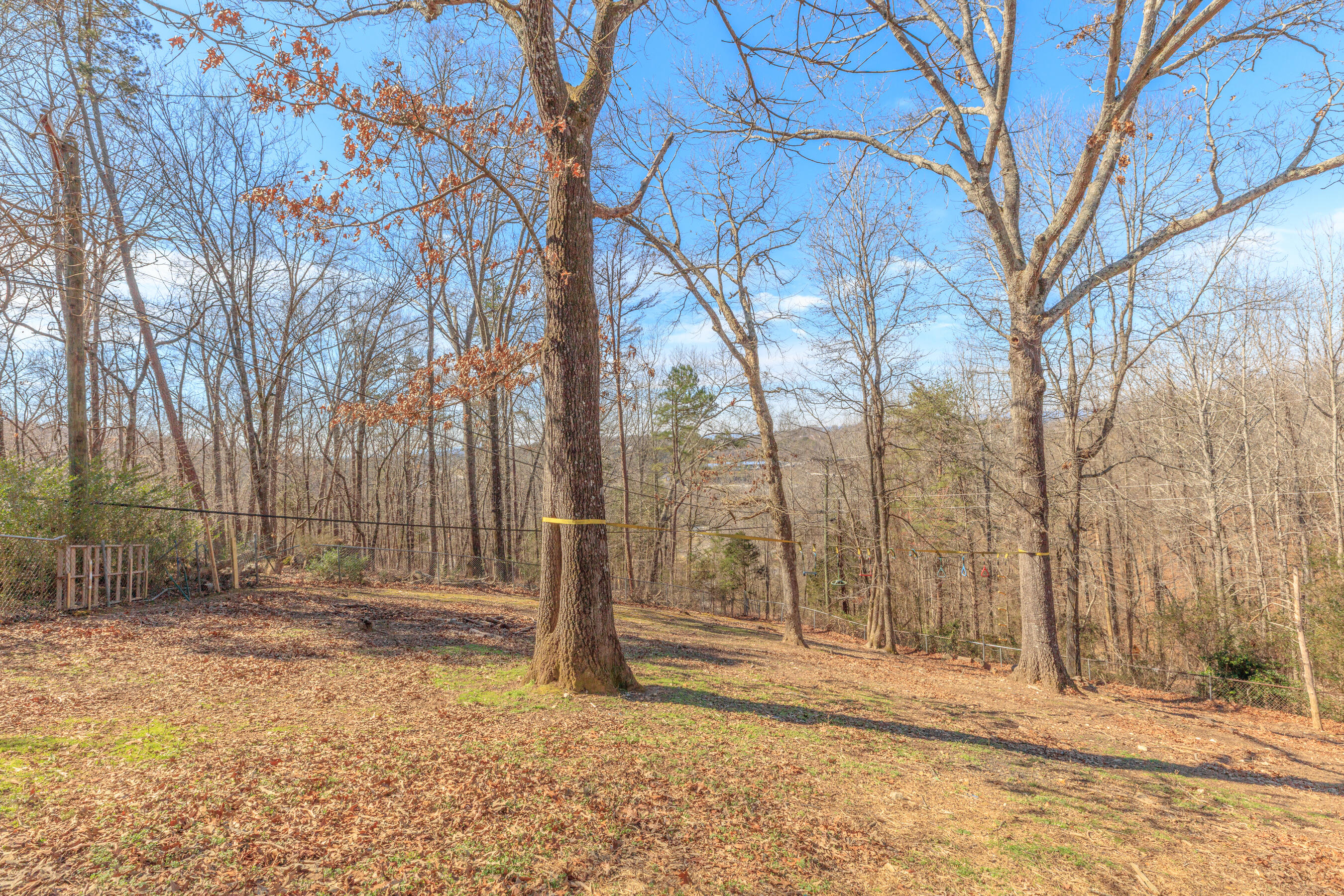 7004 Sleigh Lane Harrison, TN 37341 - Photo 12 of 55 7004 Sleigh Lane HD-11