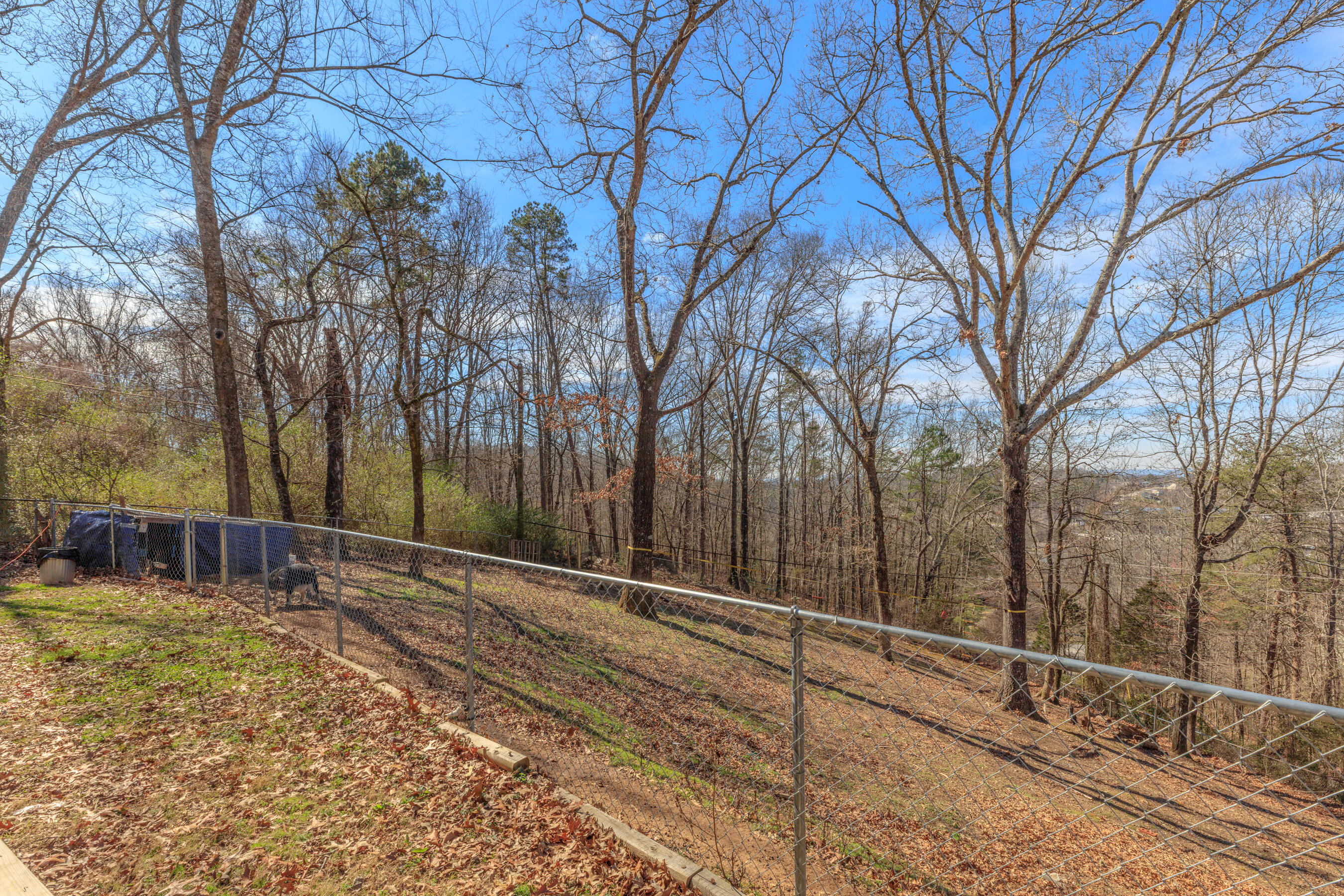 7004 Sleigh Lane Harrison, TN 37341 - Photo 18 of 55 7004 Sleigh Lane HD-17