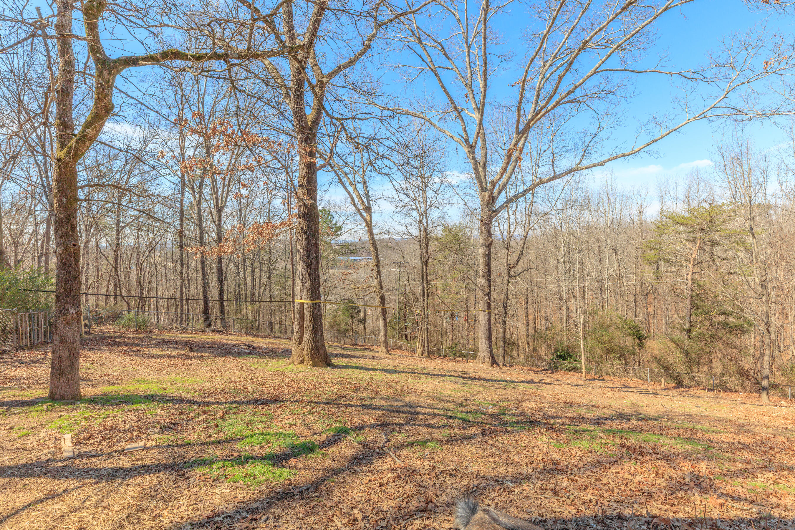 7004 Sleigh Lane Harrison, TN 37341 - Photo 8 of 55 7004 Sleigh Lane HD-7