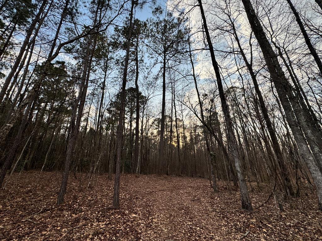 0 Ga Highway Hamilton, GA 31811 - Photo 2 of 5