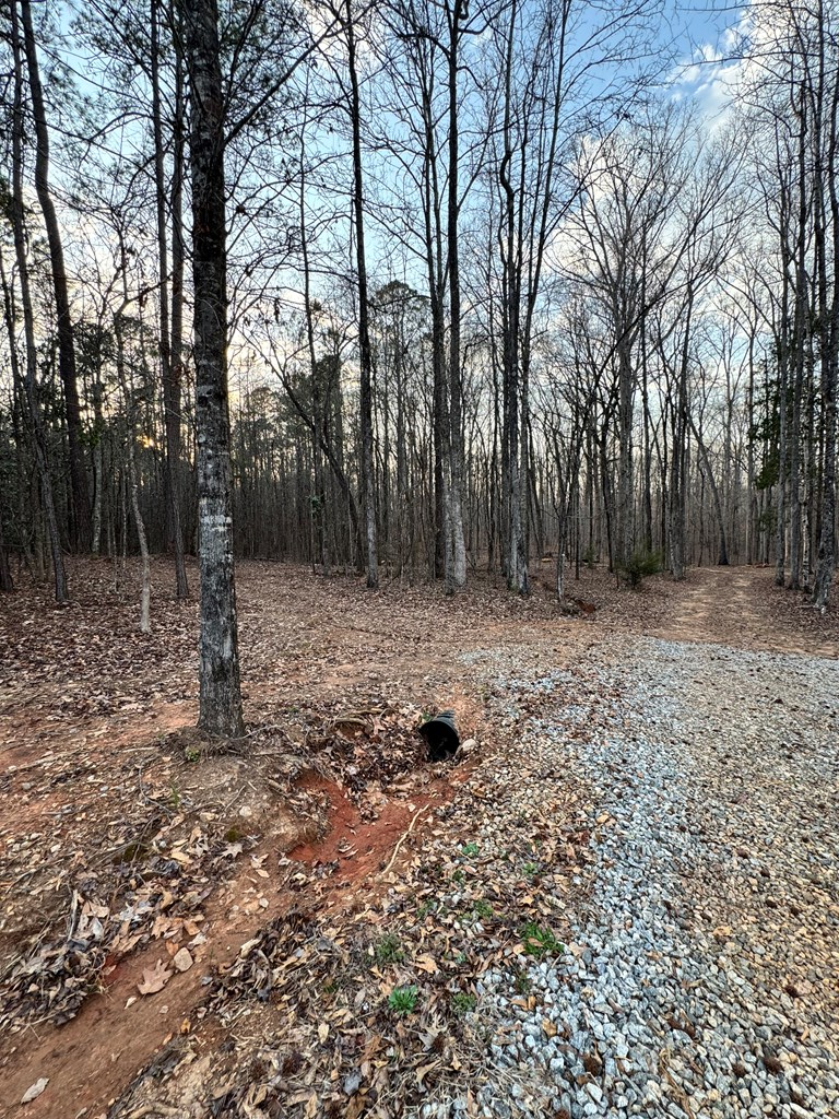 0 Ga Highway Hamilton, GA 31811 - Photo 5 of 5