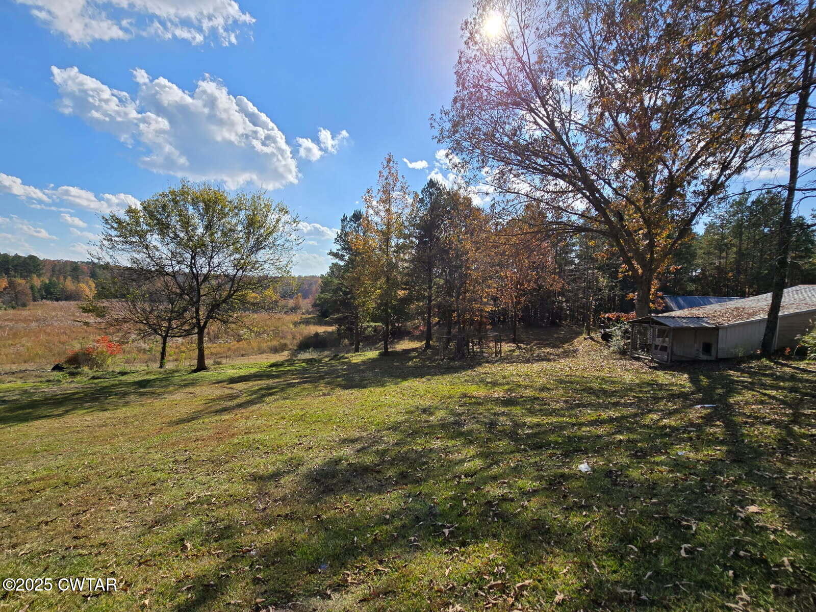 5264 Hines Gin Road Selmer, TN 38375 - Photo 15 of 19