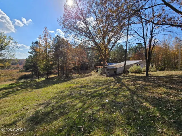 a view of a yard with a tree