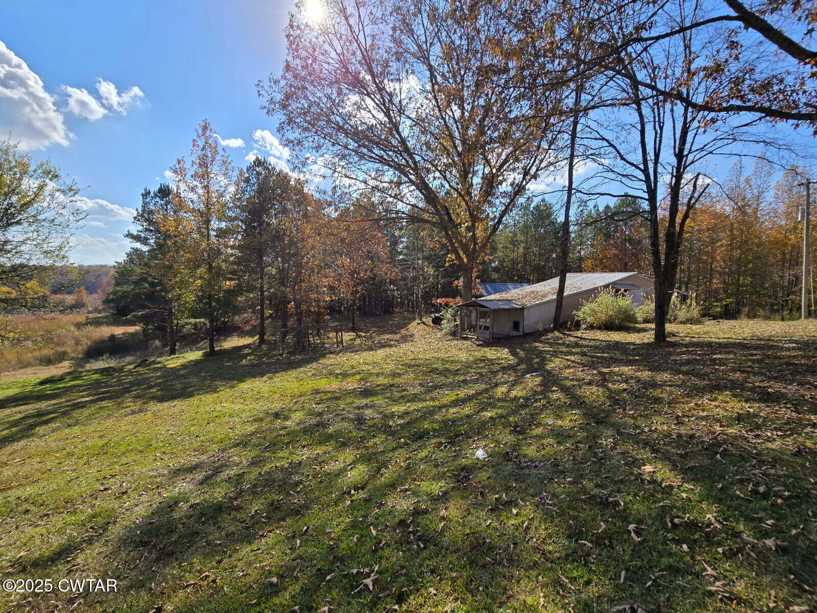 5264 Hines Gin Road Selmer, TN 38375 - Photo 16 of 19 a backyard of a house with lots of green space