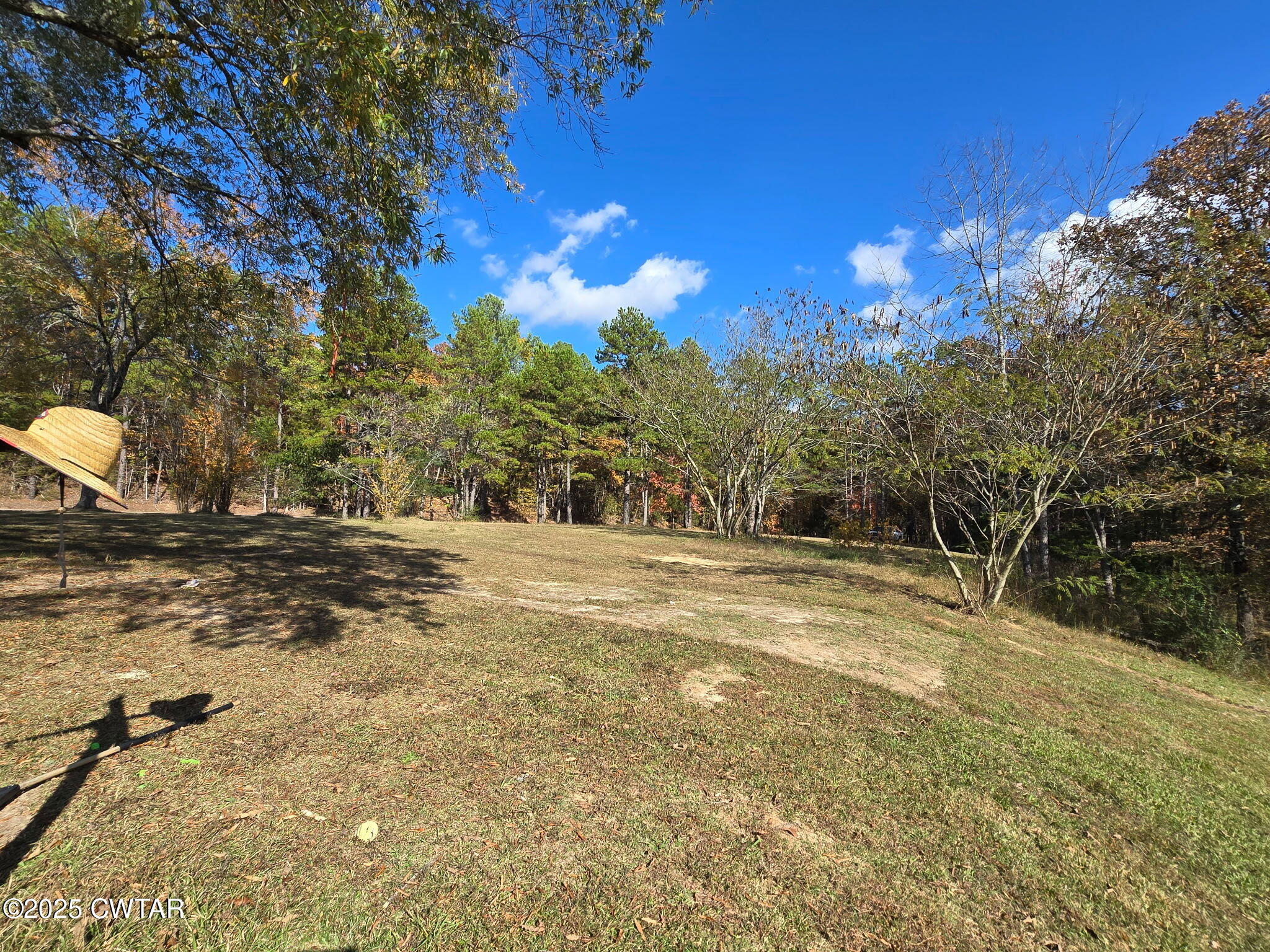 5264 Hines Gin Road Selmer, TN 38375 - Photo 17 of 19 a view of a yard with a tree
