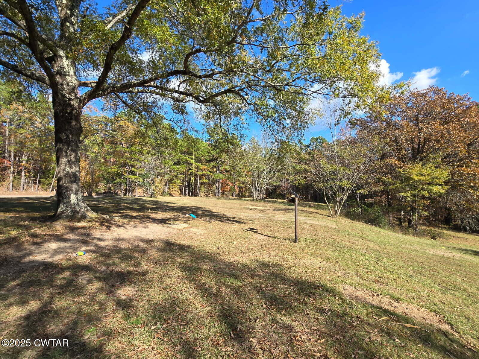 5264 Hines Gin Road Selmer, TN 38375 - Photo 19 of 19 a view of yard