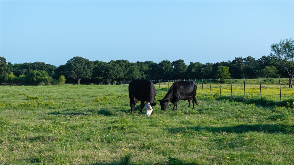 360 Pop Noah Road Collinsville, TX 76233 - Photo 33 of 36