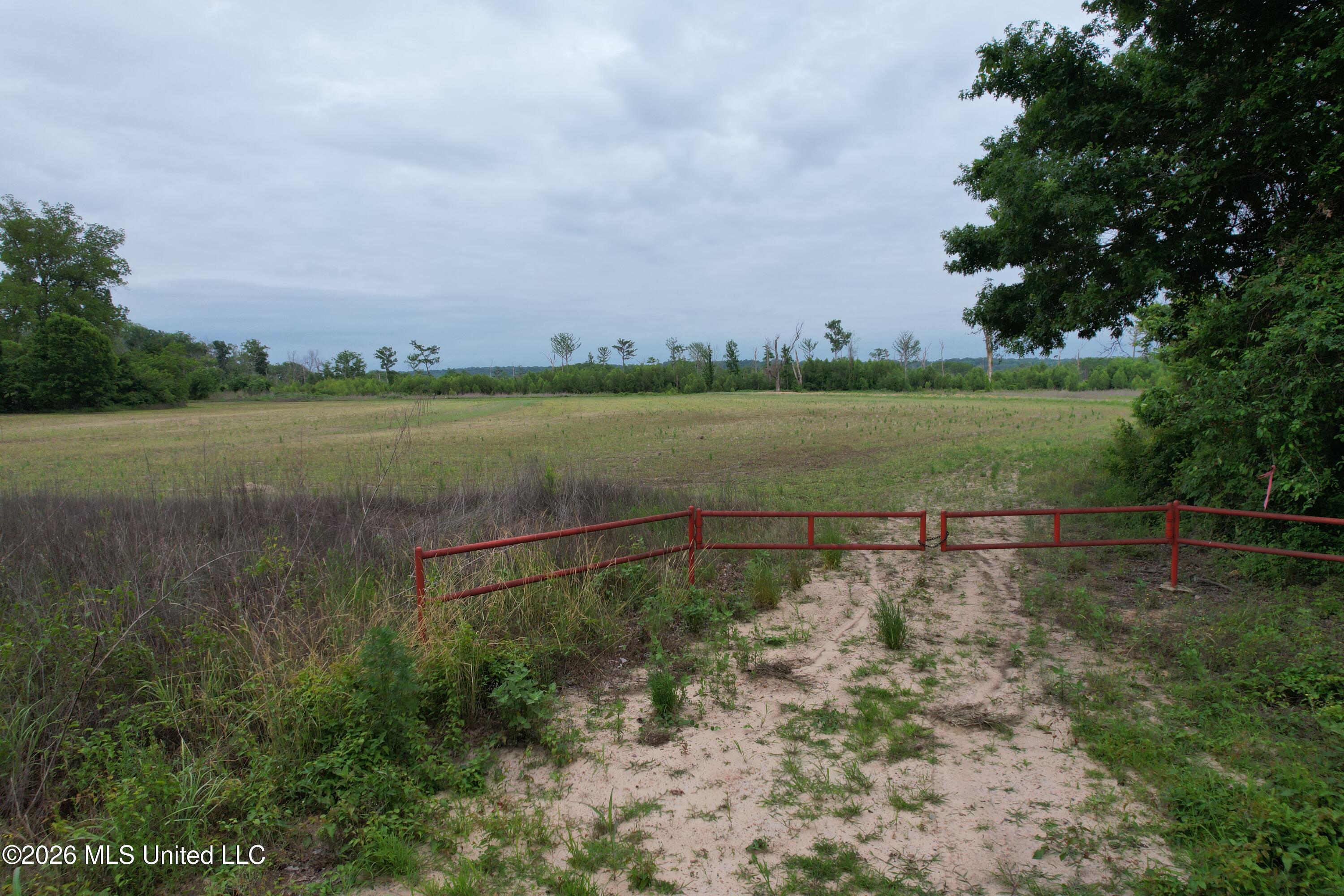 Lake Mary Road Woodville, MS 39669 - Photo 28 of 39 DJI_0995