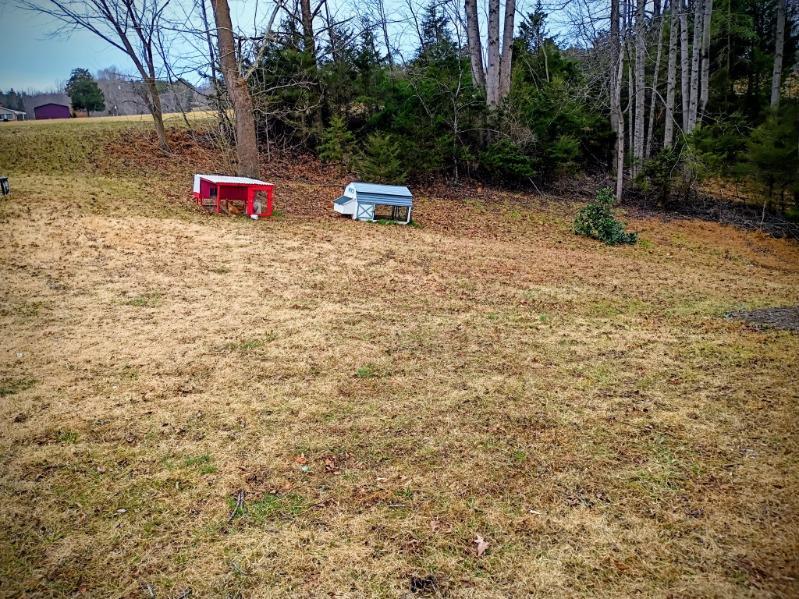 2579 Quarles Road Thaxton, VA 24174 - Photo 28 of 32 Quarles out Front