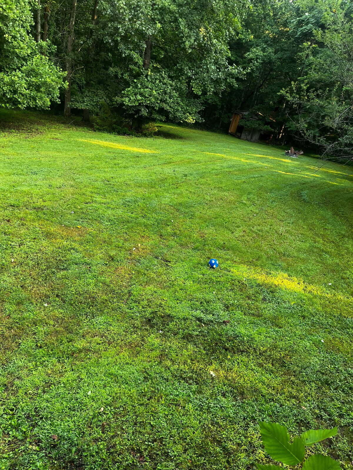 2579 Quarles Road Thaxton, VA 24174 - Photo 29 of 32 Summer Yard Quarles