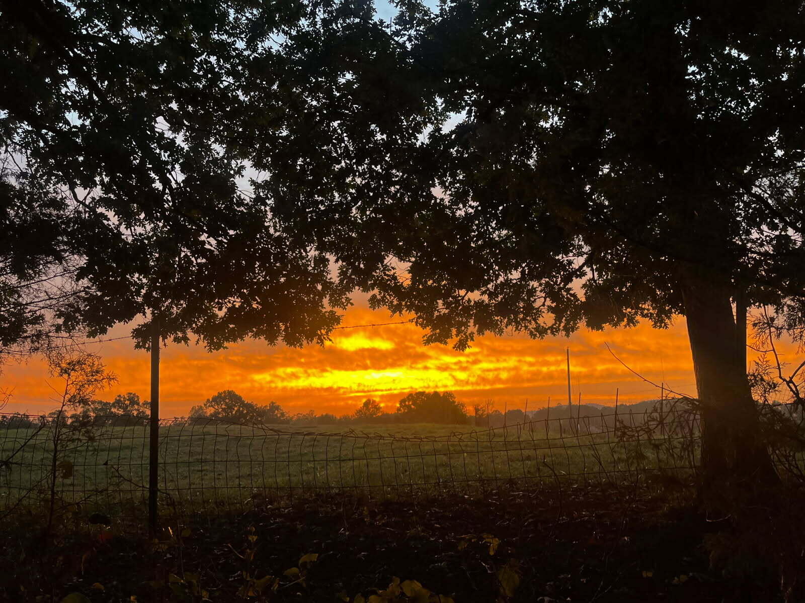 2579 Quarles Road Thaxton, VA 24174 - Photo 7 of 32 Sunset Quarles