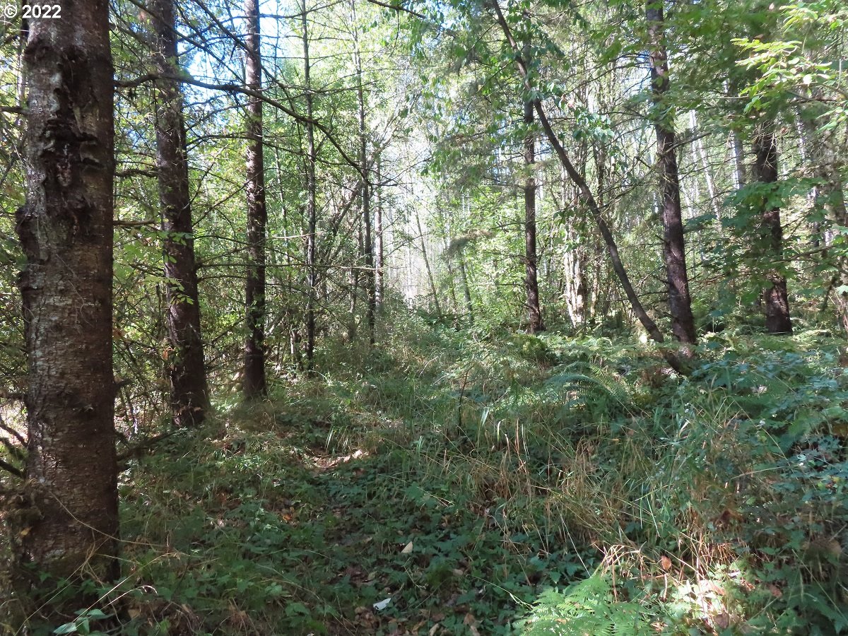Burchett Road Onalaska, WA 98570 - Photo 22 of 32 Gallery Image 22
