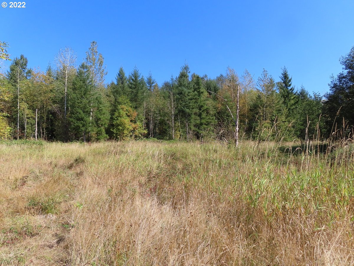 Burchett Road Onalaska, WA 98570 - Photo 7 of 32 Gallery Image 7