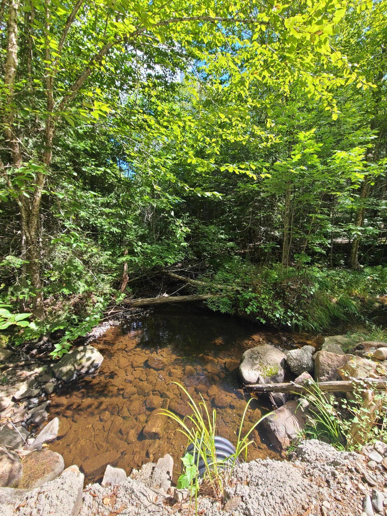 1235 Ayers Junction Road Charlotte, ME 04666 - Photo 34 of 35