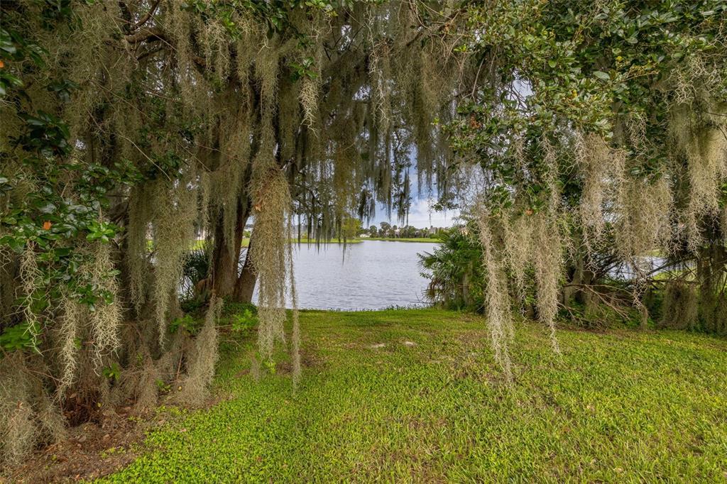 2172 The Oaks Boulevard Kissimmee, FL 34746 - Photo 46 of 81