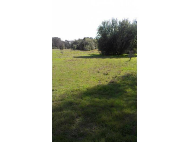 960 Carbondale Road Ione, CA 95640 - Photo 2 of 4 Gallery Image 2