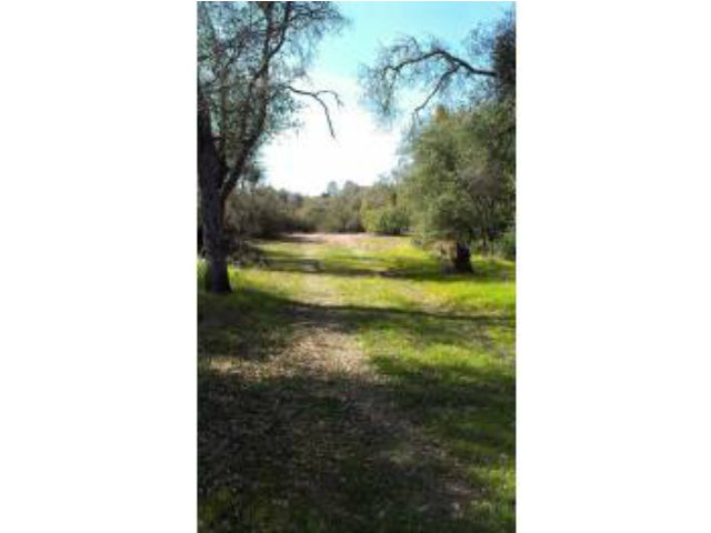 960 Carbondale Road Ione, CA 95640 - Photo 3 of 4 Gallery Image 3