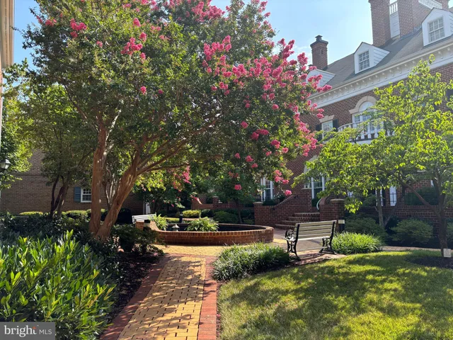 a view of a pathway that has small garden