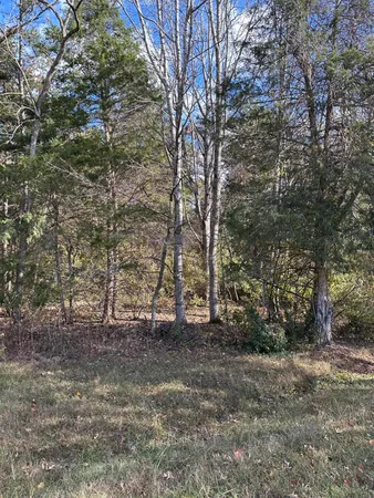 $150,000 | Undisclosed Address, Goode, VA 24556
