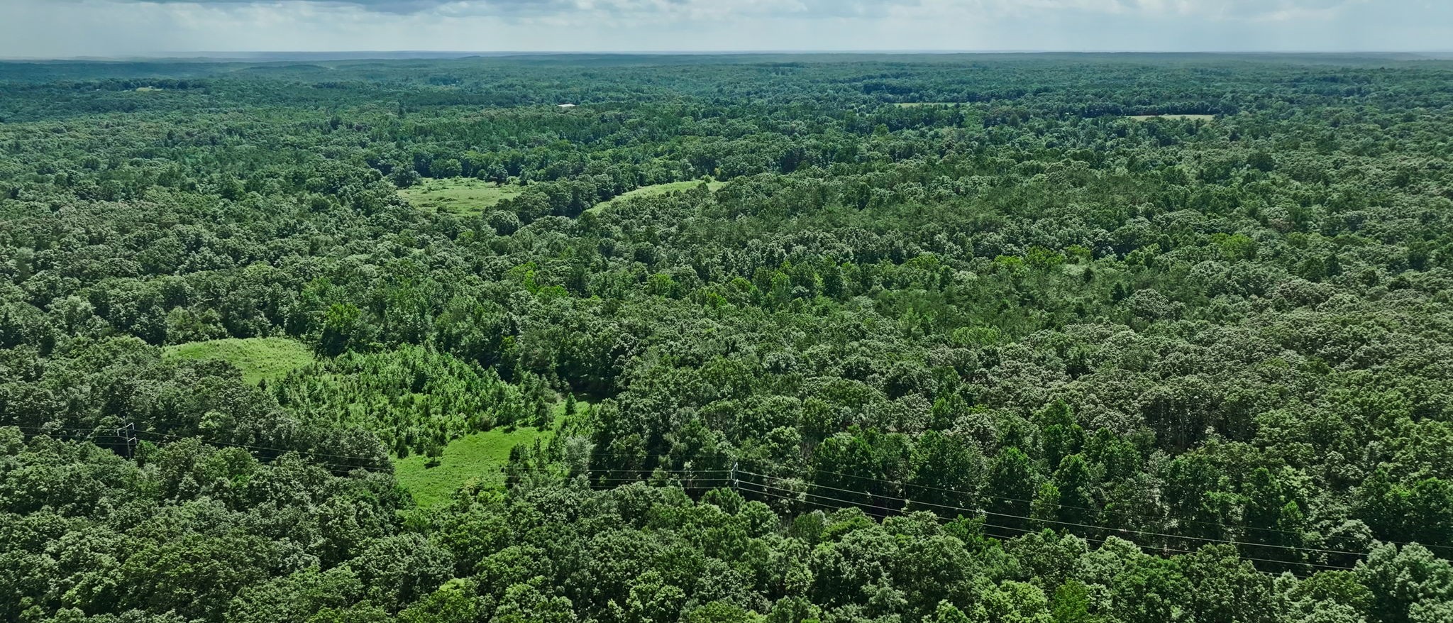 0 Barren Fork Bridge Road Bon Aqua, TN 37025 - Photo 20 of 28