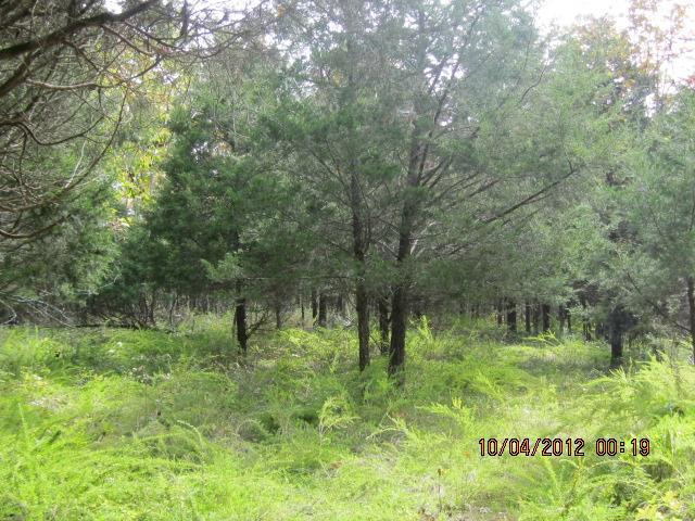 0 Corinth Road Lawrenceburg, KY 40342 - Photo 14 of 26 Photo 14
