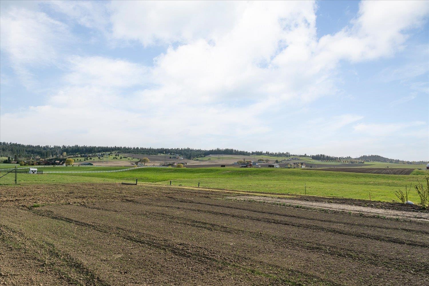 11429 North Bruce Road Mead, WA 99021 - Photo 33 of 50