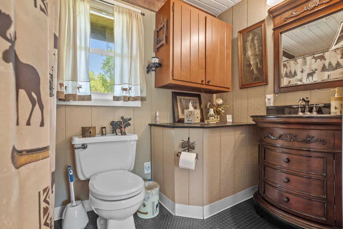299 Rodeo Drive Union City, MI 49094 - Photo 21 of 94 Gallery Image 21