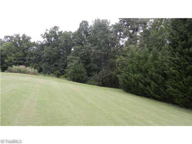 1027 Coy Hall Road King, NC 27021 - Photo 4 of 16 Yard/Garden.
