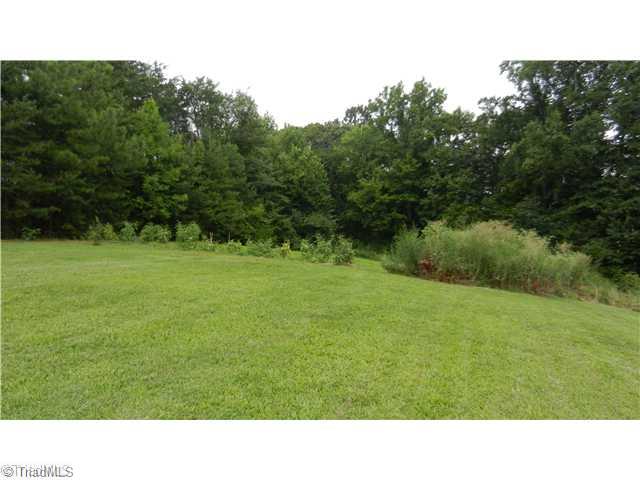 1027 Coy Hall Road King, NC 27021 - Photo 5 of 16 Yard/Garden.