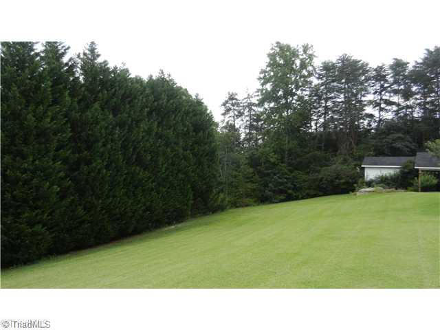 1027 Coy Hall Road King, NC 27021 - Photo 6 of 16 Yard/Garden.