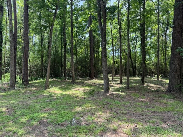 770 Taylor Road Kokomo, MS 39643 - Photo 6 of 23 Photo 6