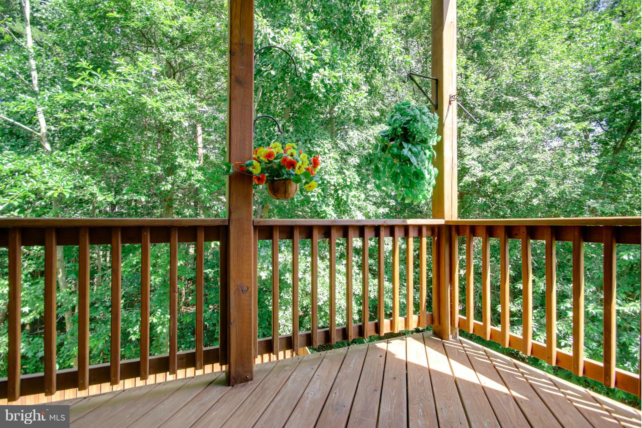 6290 Levi Court Springfield, VA 22150 - Photo 3 of 30 Main Level Deck