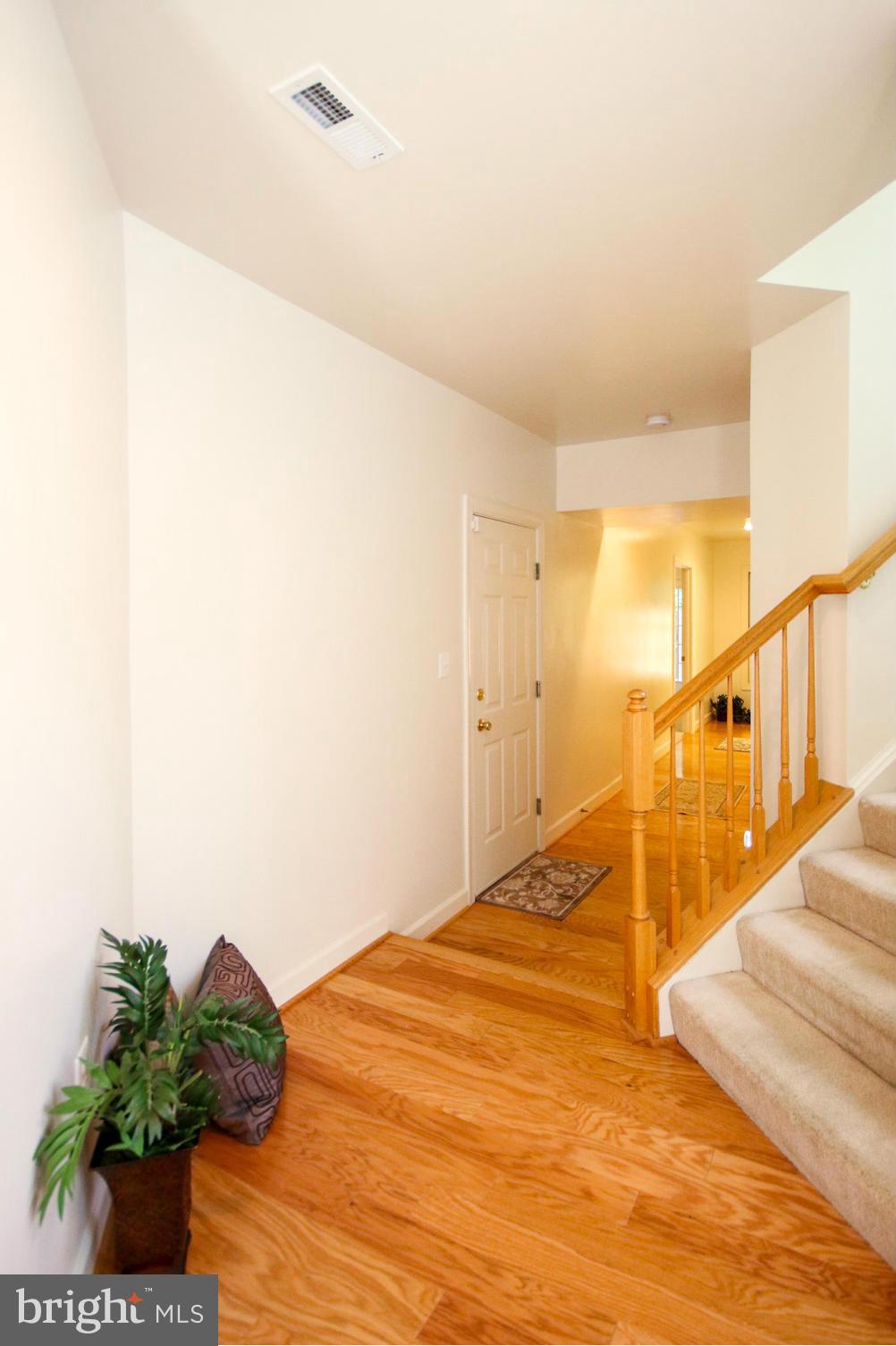 6290 Levi Court Springfield, VA 22150 - Photo 22 of 30 Foyer