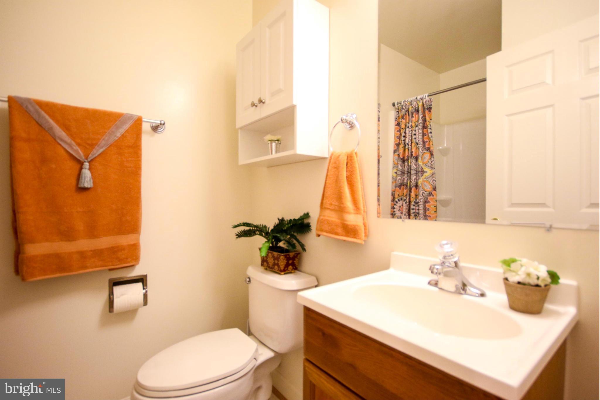 6290 Levi Court Springfield, VA 22150 - Photo 26 of 30 3rd Full Bath