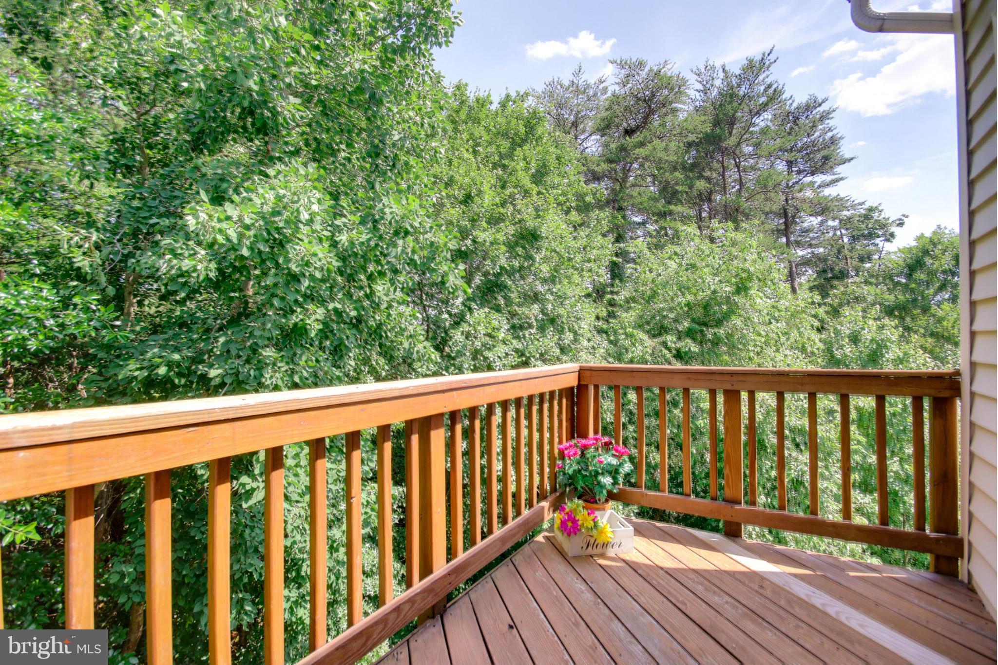 6290 Levi Court Springfield, VA 22150 - Photo 4 of 30 Upper Level - MBR Private Deck
