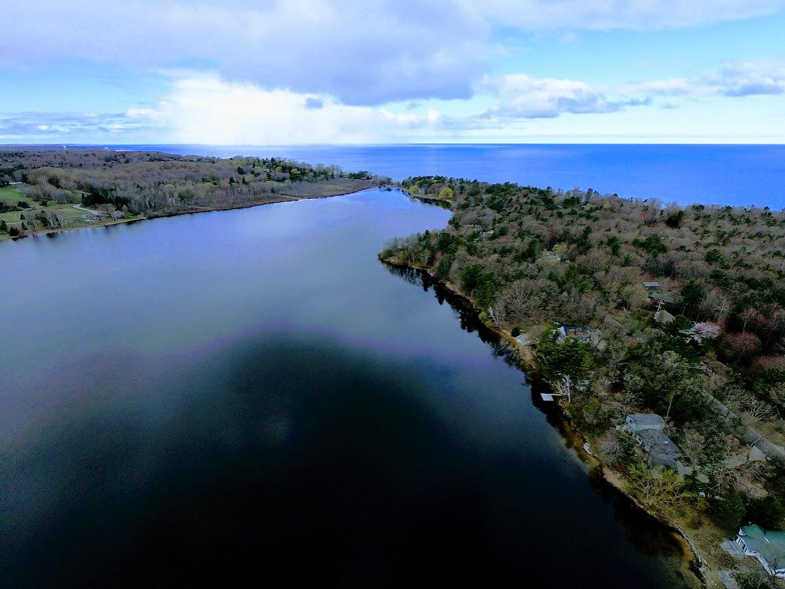 305 McNitt Road Manistee, MI 49660 - Photo 3 of 34 GOPR0884 Bar Lake