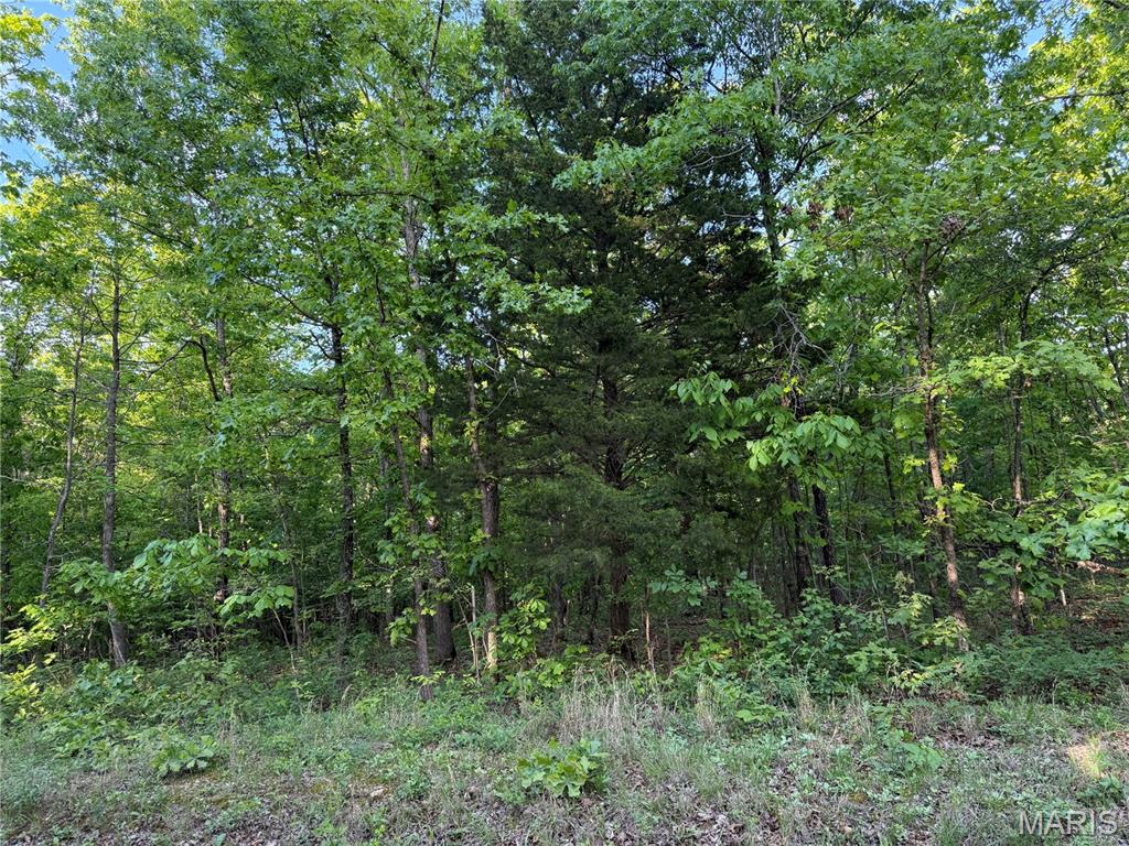 4 Carter 327 Ellsinore, MO 63937 - Photo 3 of 3
