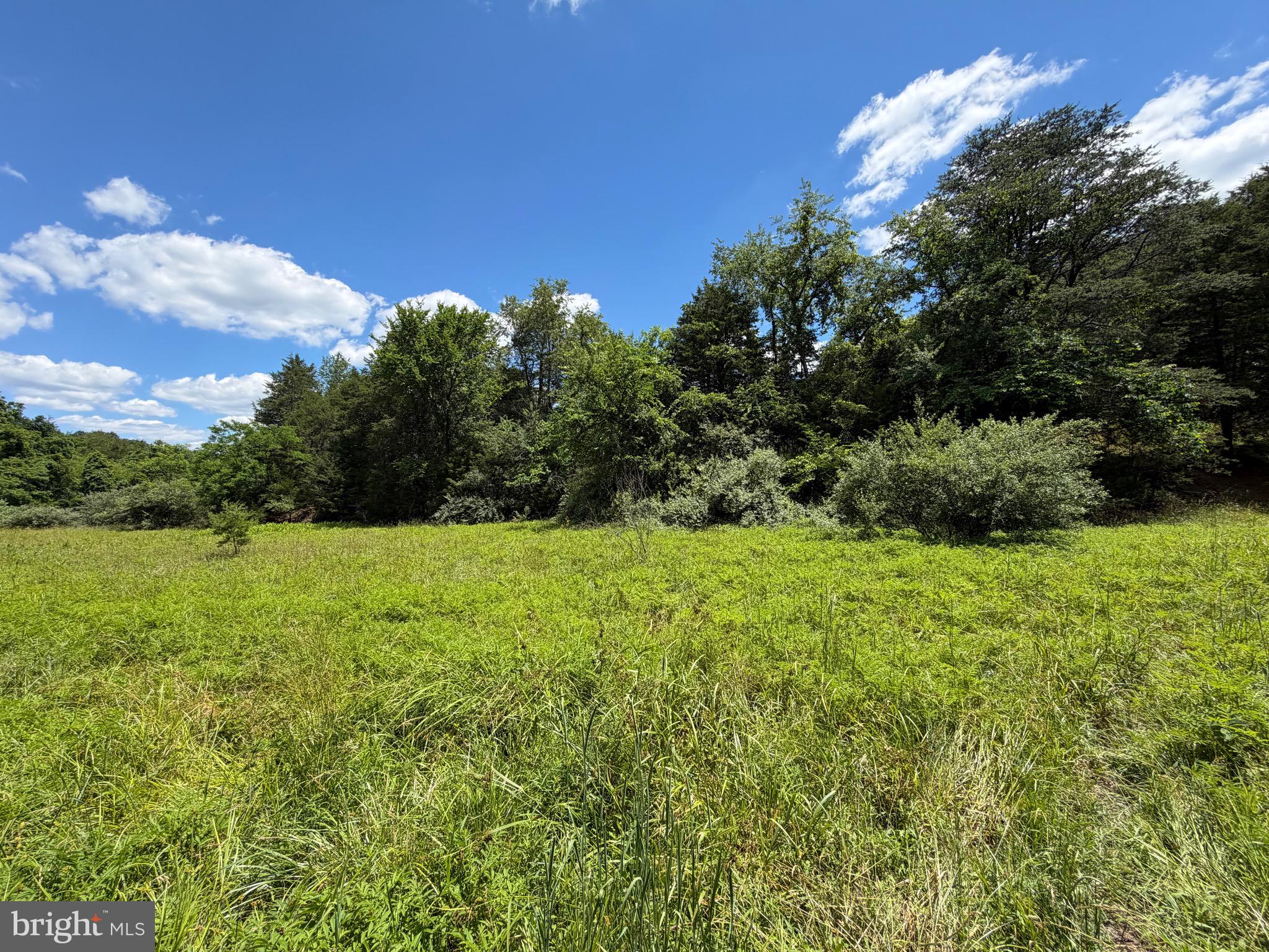 511 Chickadee Road Purgitsville, WV 26852 - Photo 15 of 99