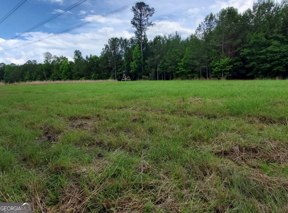 1 Frazier Road Sparta, GA 31087 - Photo 2 of 33 Gallery Image 2